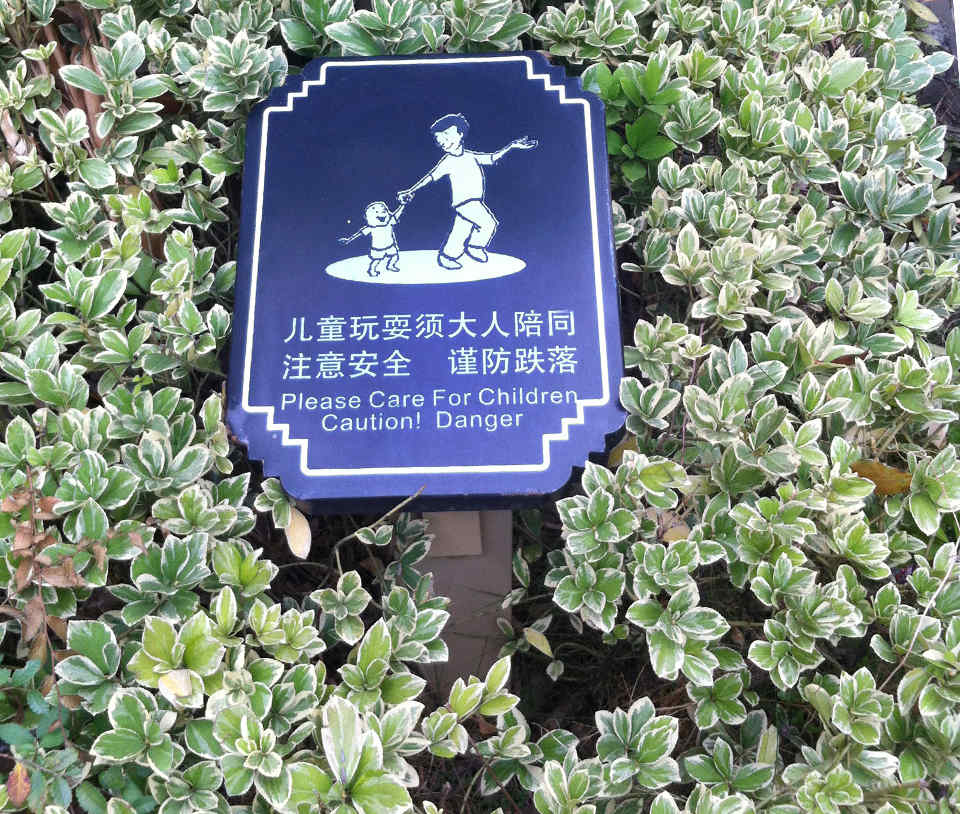 1542136552111575.jpg 1542136552111575.jpg