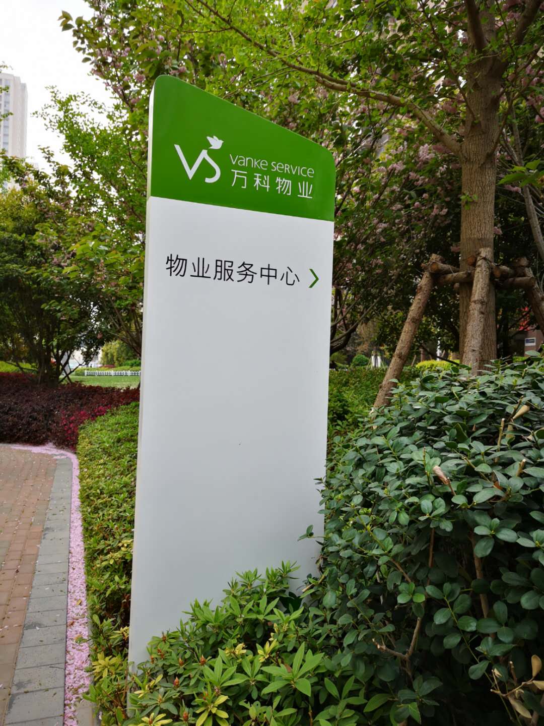 1554857779760461.jpg 1554857779760461.jpg