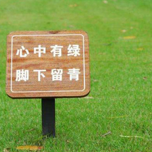 1577684320911230.jpg 6.jpg