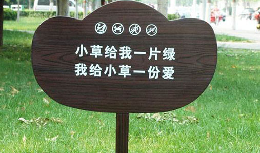 1583563081394364.jpg 8.jpg