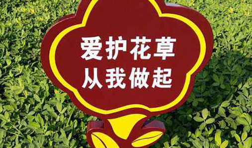 1597048741164429.jpg 22.jpg